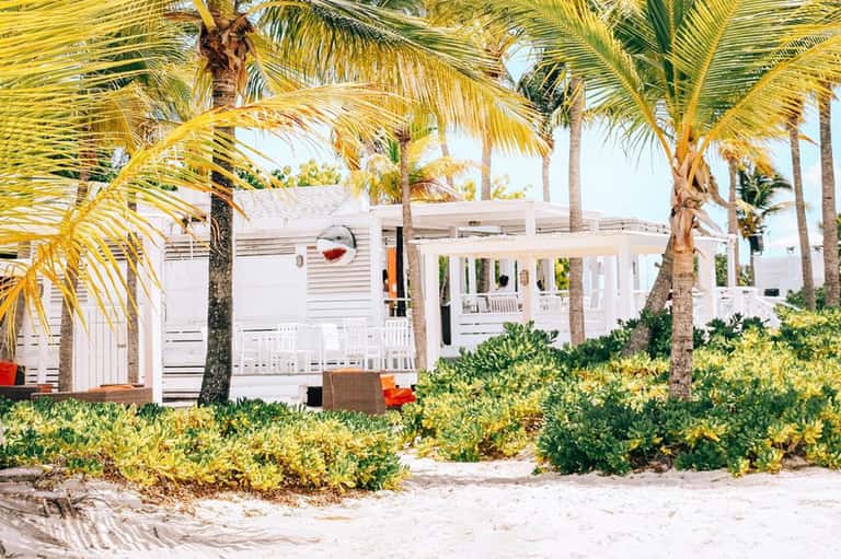 Beachfront vacation rental with white modern architecture and palm trees on sandy beach