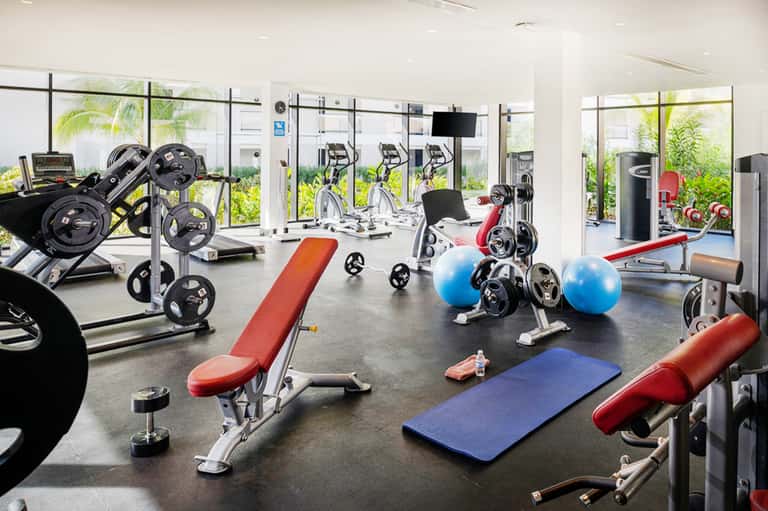 Modern fitness gym with cardio equipment, weights, exercise balls, and large windows overlooking gardens