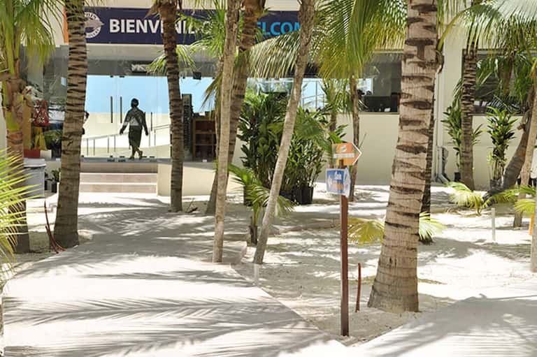 Palm-lined beach promenade with modern buildings and sandy walkway