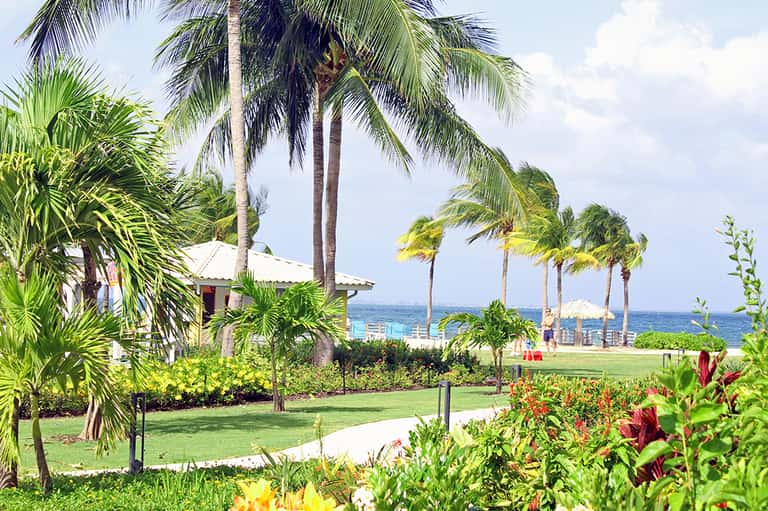 Tropical beachfront resort with palm trees, manicured lawn, ocean view, and white building
