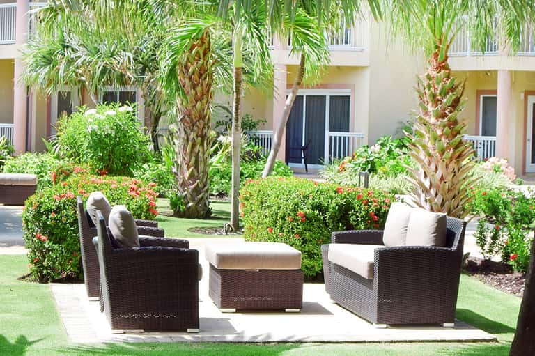 Outdoor lounge seating with rattan chairs and tropical landscape surrounded by palm trees