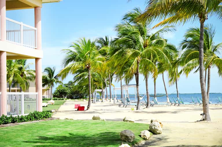 Palm-lined beach area with lounge chairs and calm waterfront near residential building