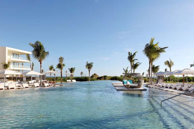 Large resort infinity pool with palm trees, loungers, and ocean horizon view