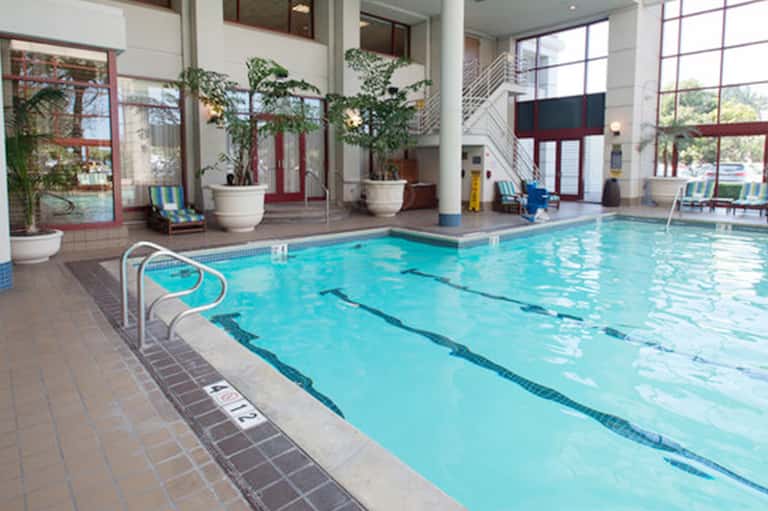 Indoor lap pool with lane markings, large windows, potted plants, and modern architectural design
