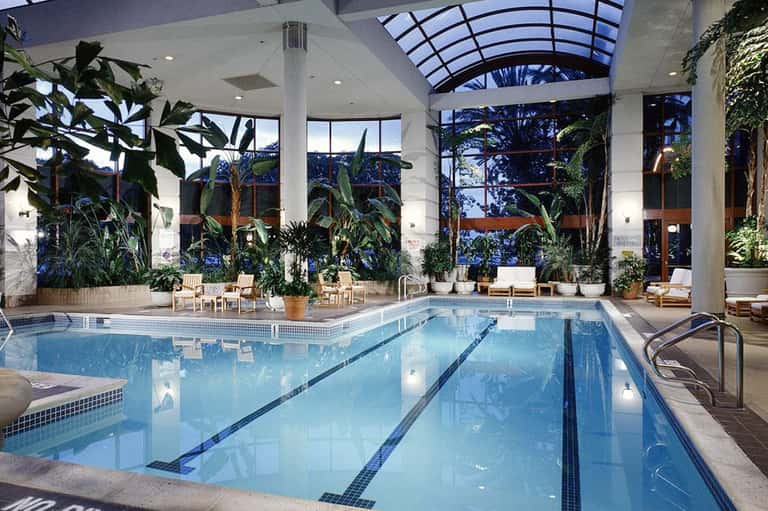 Indoor lap pool with skylights, lush greenery, and wooden lounge chairs