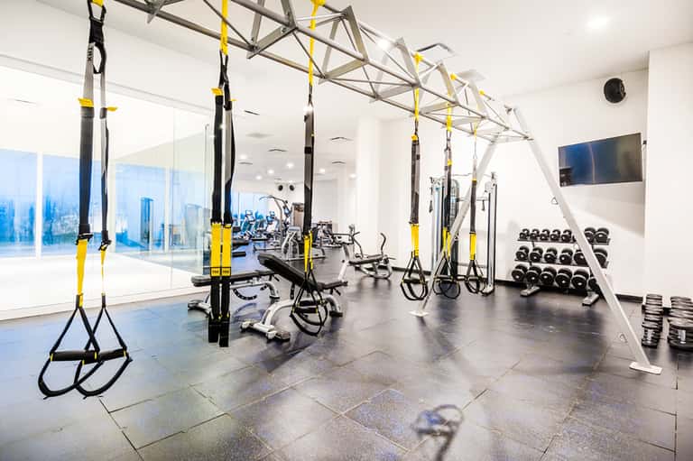 Bright gym space with TRX suspension training system, free weights, stationary bikes, and floor-to-ceiling windows overlooking city