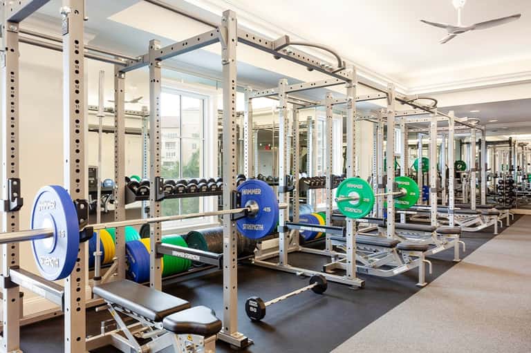 Modern fitness center with white metal weight racks, colorful weight plates, and floor-to-ceiling windows