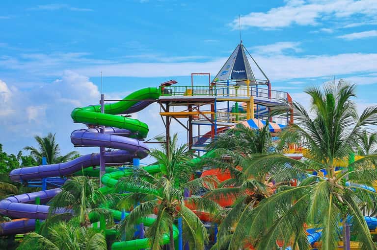 Colorful water park slide tower surrounded by palm trees against blue sky