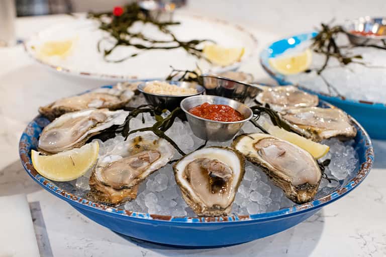 Plated oysters on ice with lemon and cocktail sauce on blue plate