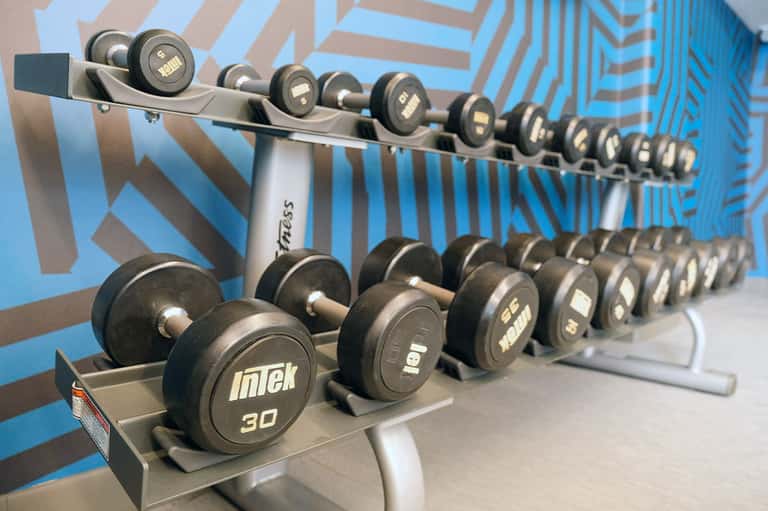 Dumbbell rack with weights ranging from light to heavy, displayed against geometric blue and gray wall