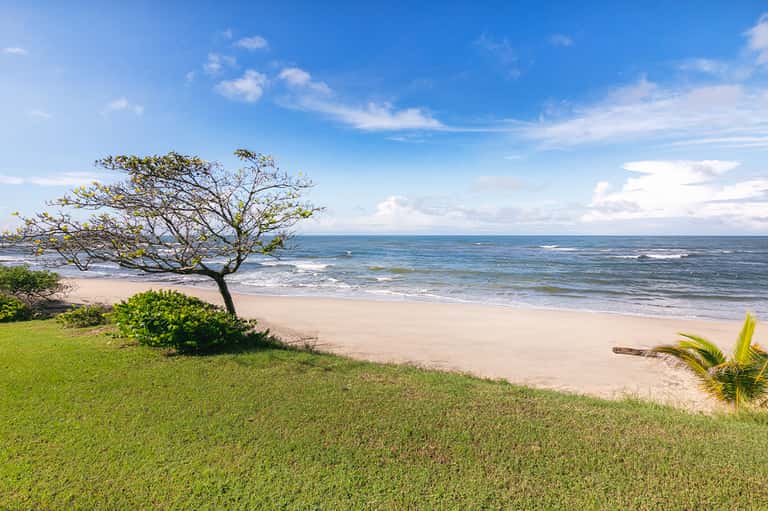 Scenic beach with golden sand, gentle waves, sea breeze tree, and tropical vegetation
