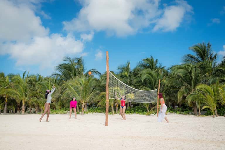 Group playing beach volleyball with palm trees and blue sky in background