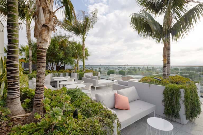 Rooftop lounge seating area with palm trees, ocean views, and contemporary outdoor furniture