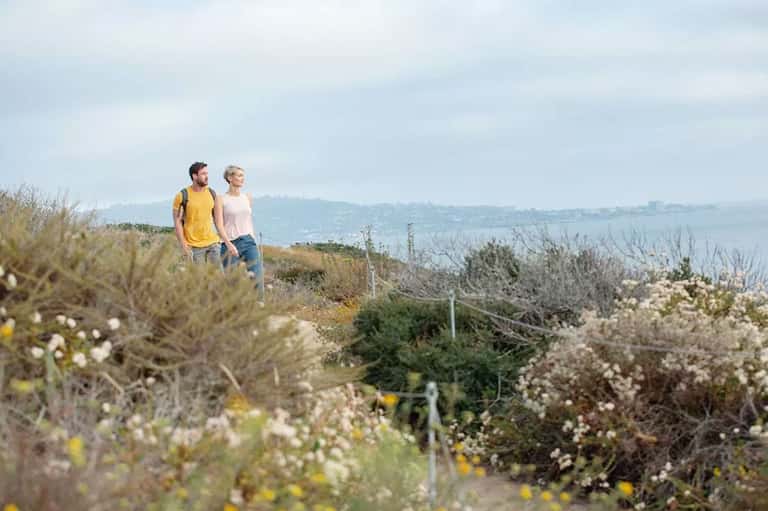 Couple hiking on coastal trail with wildflowers, ocean bay view, and hillside landscape in background