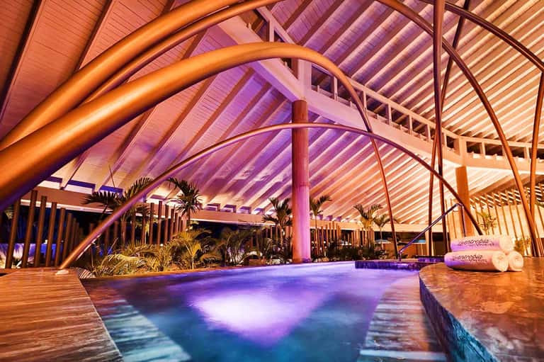 Modern indoor pool with purple lighting, curved wooden beams, and tropical plants