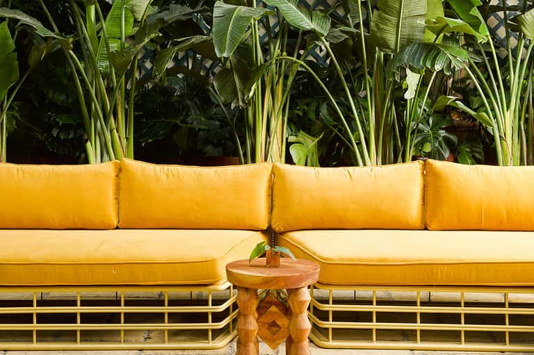 Yellow outdoor sofa with cushions against lush green tropical plants and foliage