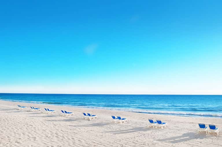 Rows of blue and white lounge chairs lined up on a sandy beach facing the ocean under clear blue sky