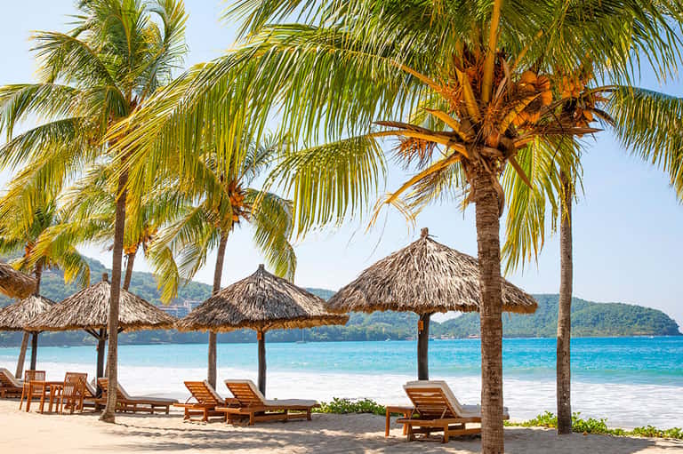Pristine tropical beach with palm trees, thatched umbrellas, and turquoise water