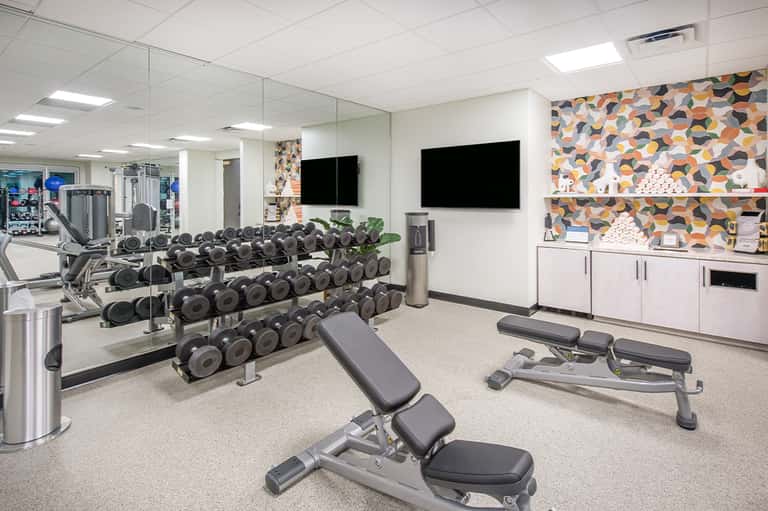 Modern fitness center with organized dumbbell racks, mirrors, equipment, and patterned accent wall