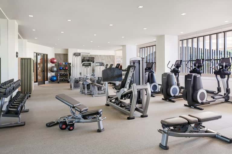 Fitness center with modern exercise equipment, dumbbells, and large windows