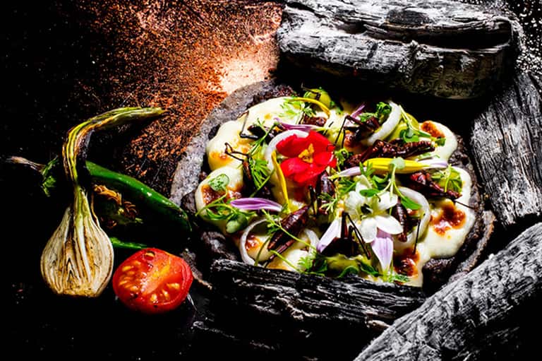 Gourmet appetizers on charred wood with vegetables and edible flowers on dark background