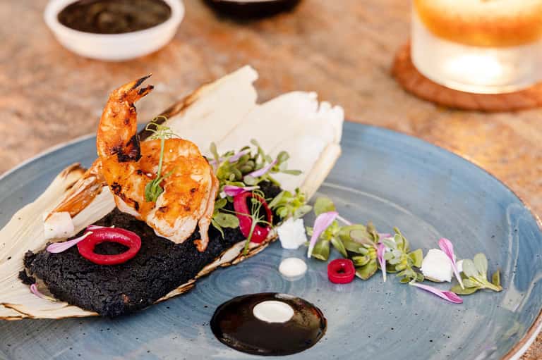 Grilled shrimp on black squid ink cracker with microgreens on blue plate