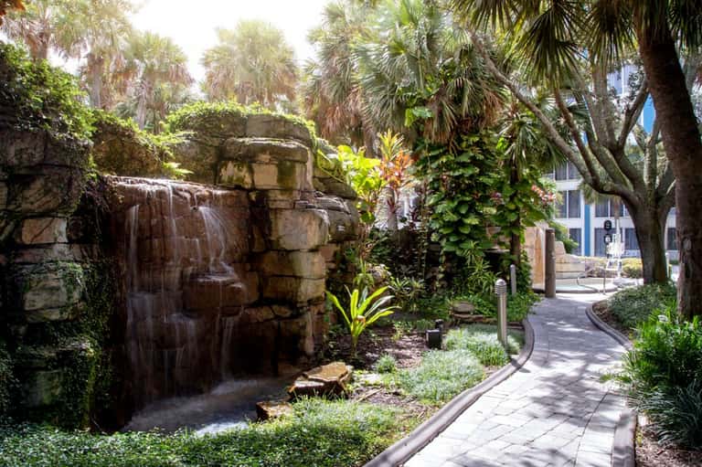 Tropical hotel garden pathway with stone water feature, palm trees, and lush vegetation