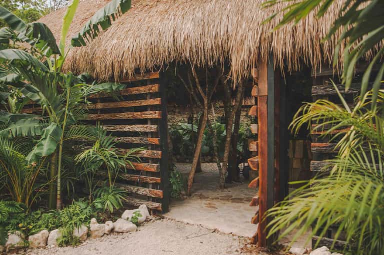 Rustic wooden bungalow with thatched roof and tropical vegetation surroundings