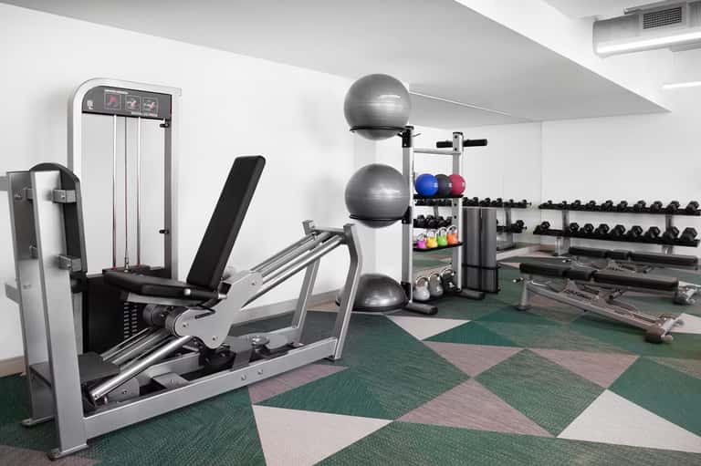 Contemporary fitness center with exercise equipment, dumbbells, and colorful exercise balls