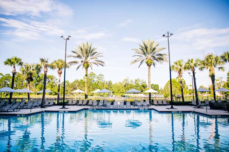 Resort swimming pool with palm trees, lounge chairs, and umbrellas under blue sky