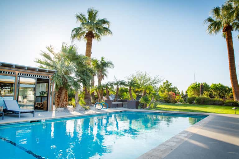 Resort swimming pool surrounded by palm trees with lounge chairs and manicured lawn under clear sky