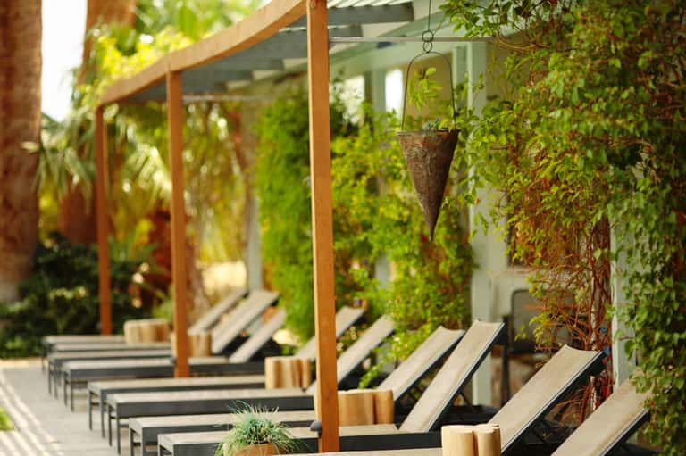 Outdoor pergola lounge with wooden beams, black loungers, and climbing ivy plants