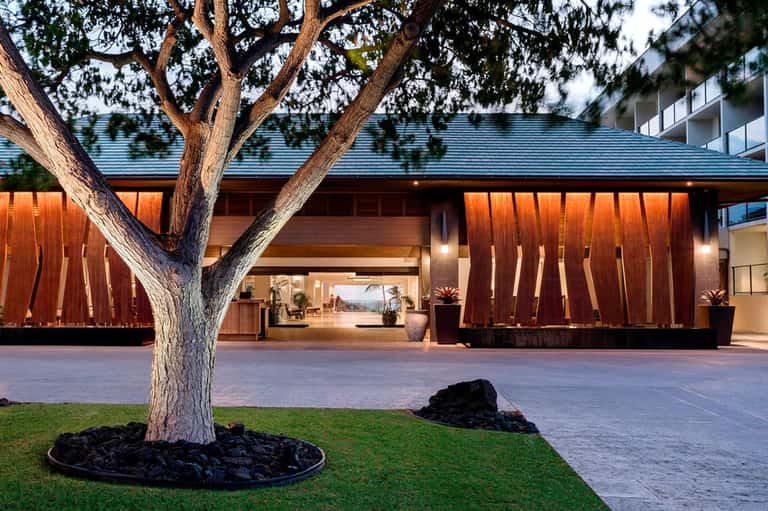 Contemporary hotel entrance with wooden slat doors and mature tree in plaza