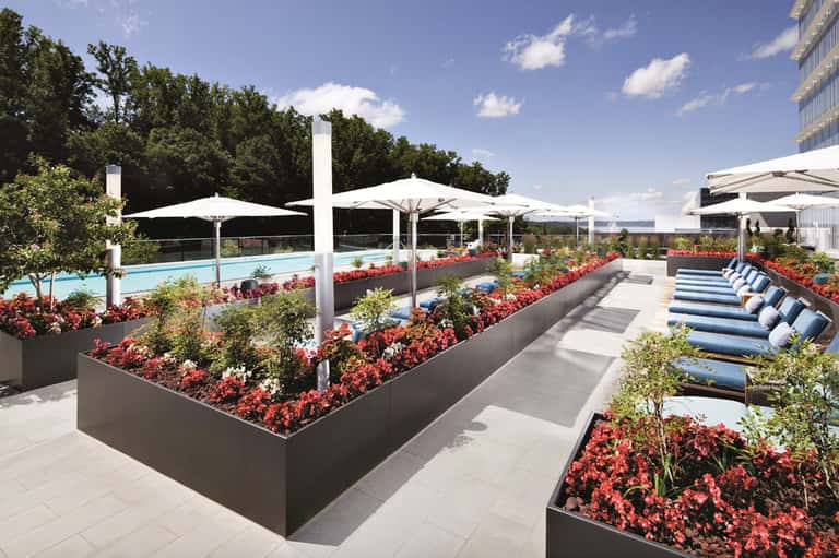 Rooftop pool deck with white umbrellas, red flower planters, lounge chairs, and city views