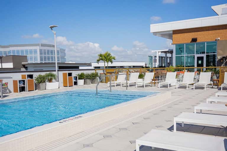 Contemporary rooftop pool with white loungers, palm tree, and modern hotel building exterior