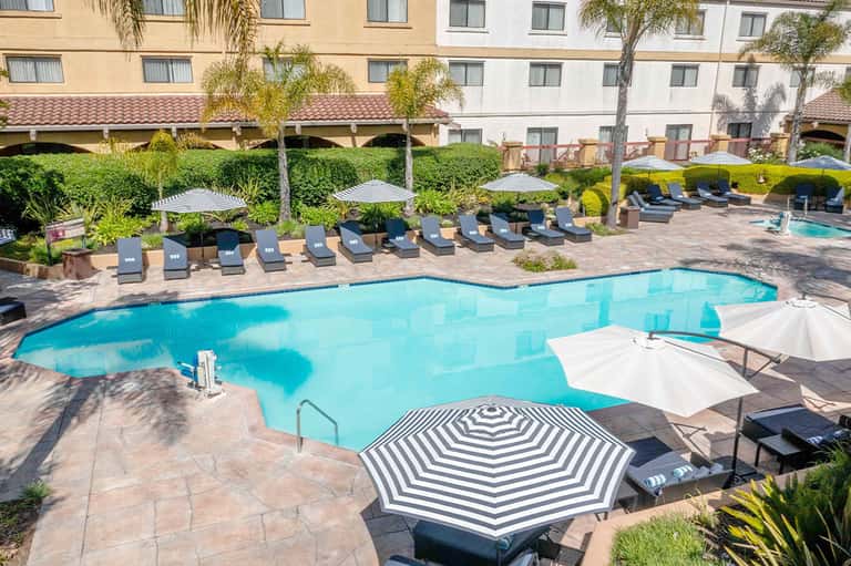 Curved swimming pool surrounded by lounge chairs, umbrellas, and palm trees