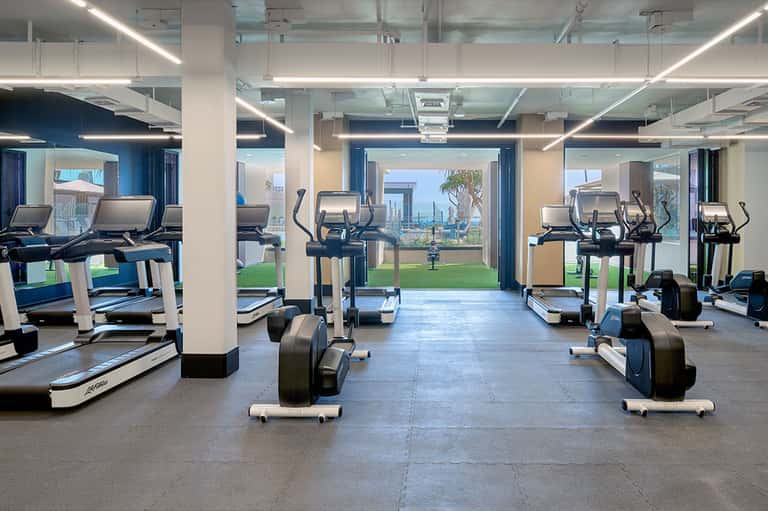 Modern fitness center with treadmills and exercise equipment overlooking palm trees