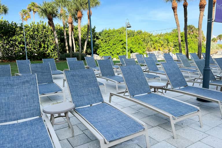 Multiple blue lounge chairs arranged on sunny patio with palm trees and vegetation
