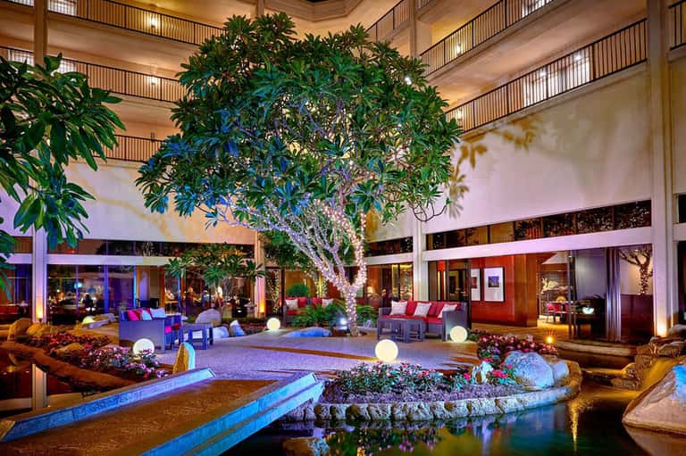 Luxurious indoor atrium with large tree, water features, colored lighting, and multi-level balconies