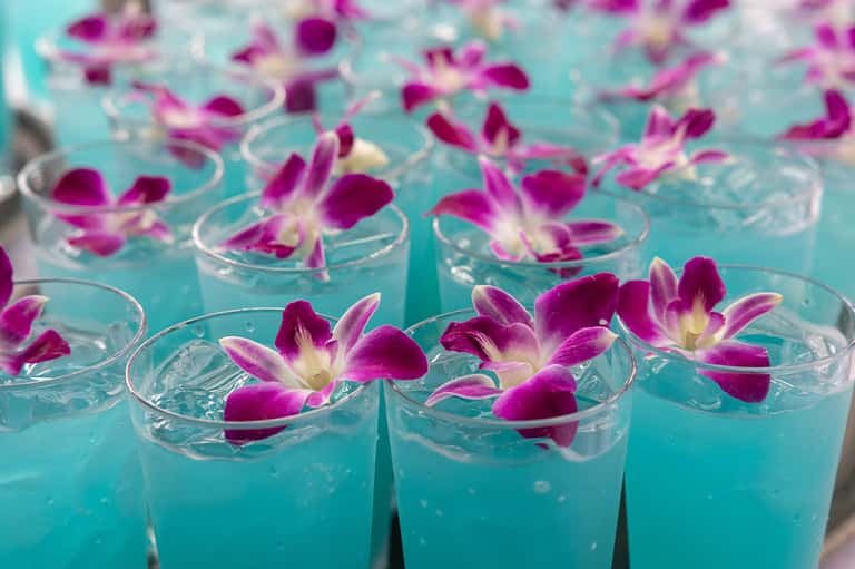 Colorful tropical cocktails garnished with magenta orchid flowers in clear glasses