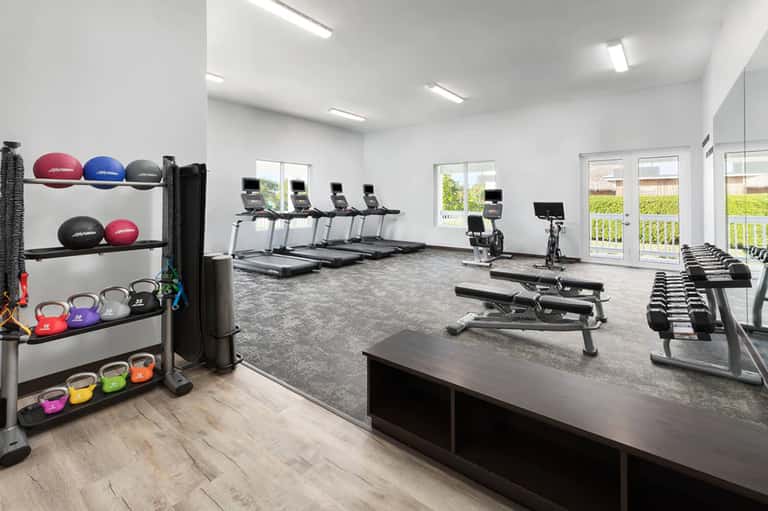 Modern fitness center with treadmills, dumbbells, exercise equipment, and large windows