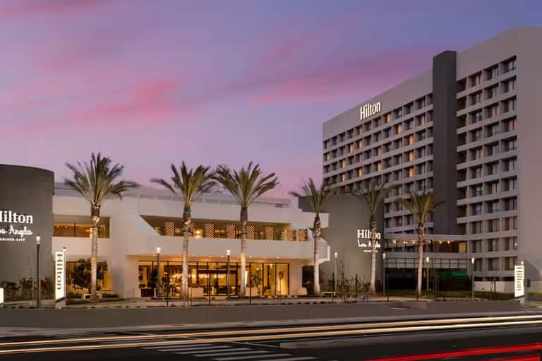 Hilton hotel exterior at dusk with palm trees, illuminated entrance, and tall tower