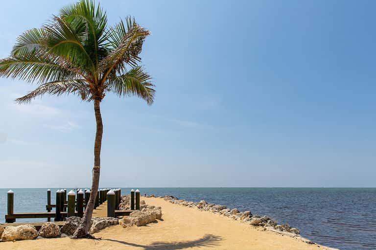 Wooden pier with palm tree extending into calm ocean water on clear blue day