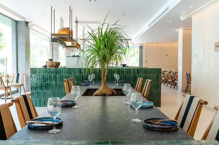 Modern dining room with green tile accent wall, striped wood chairs, large living plant centerpiece, and bright windows