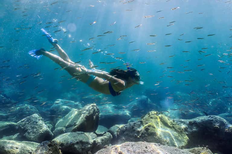 Snorkeler swimming underwater surrounded by small fish and rocky reef formations