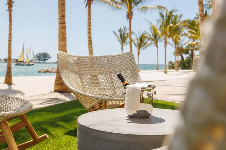 Beachfront hammock with wine bottle and ocean view surrounded by palm trees
