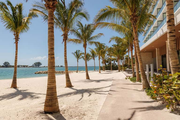 Beachfront resort with palm trees, white sand, turquoise water, and modern architecture
