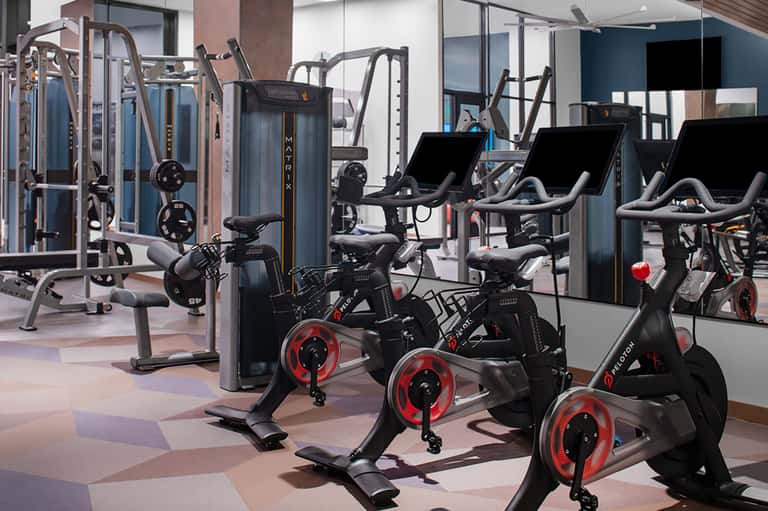 Modern gym with cardio bikes, weight machines, and large windows