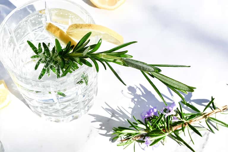 Clear cocktail garnished with lemon slice and fresh rosemary sprig on white surface