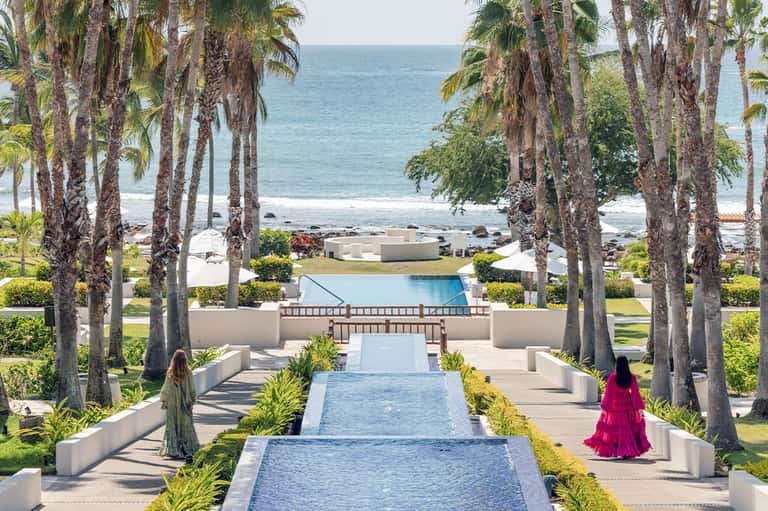 Resort pathway lined with tall palm trees leading to pool and ocean beach vista